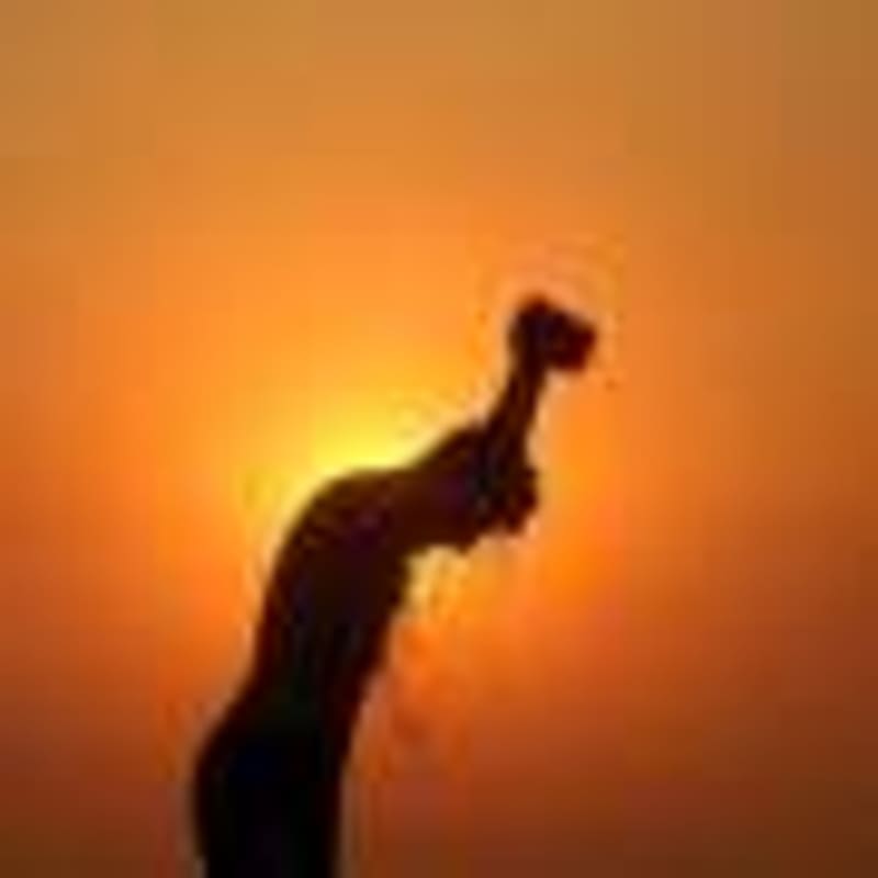 AI Solves 30-Year Physics Computing Problem - Image 5