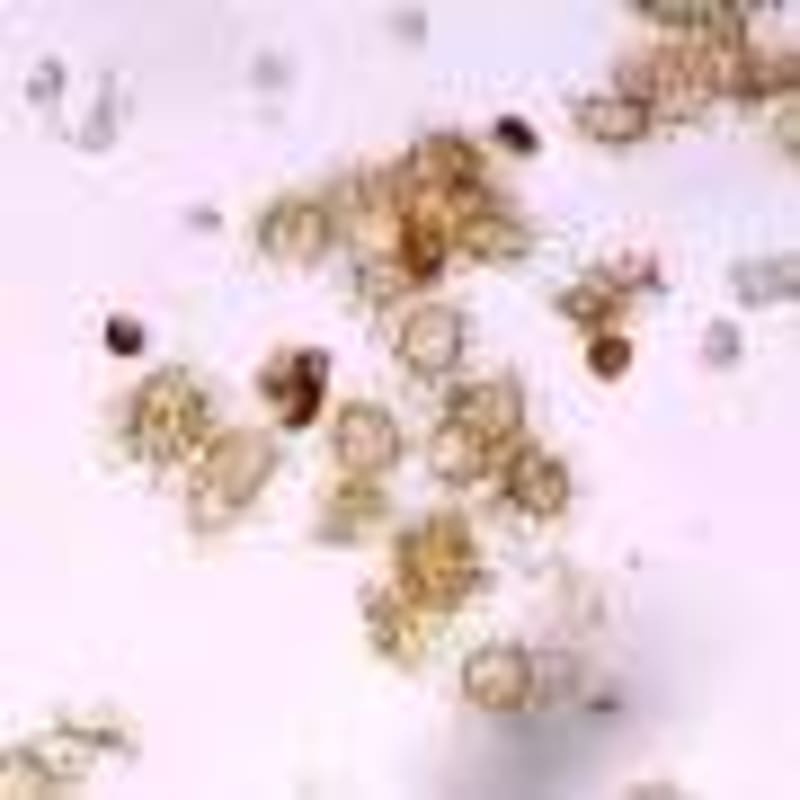 Why Being Meek Is Actually a Superpower, Not a Weakness - Image 5