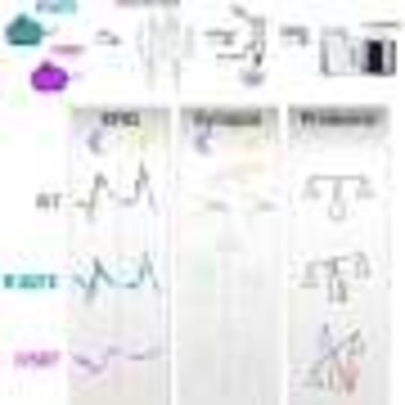 HPV Vaccine Cuts Cervical Screening to Just 2-3 Times Ever - Image 3