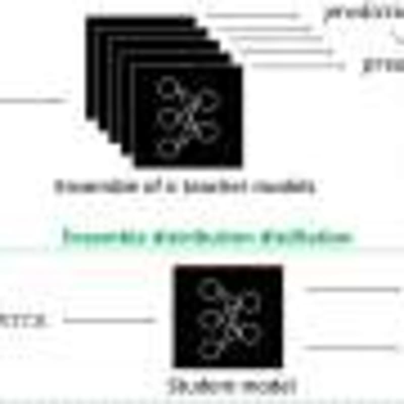 Mayo Clinic Finds Why Lung Cancer Resists Immunotherapy - Image 4