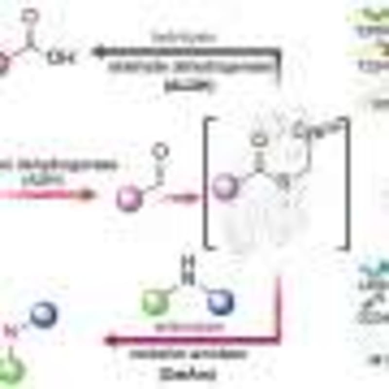 New Catalyst Makes Clean Fertilizer 50% More Efficiently - Image 5