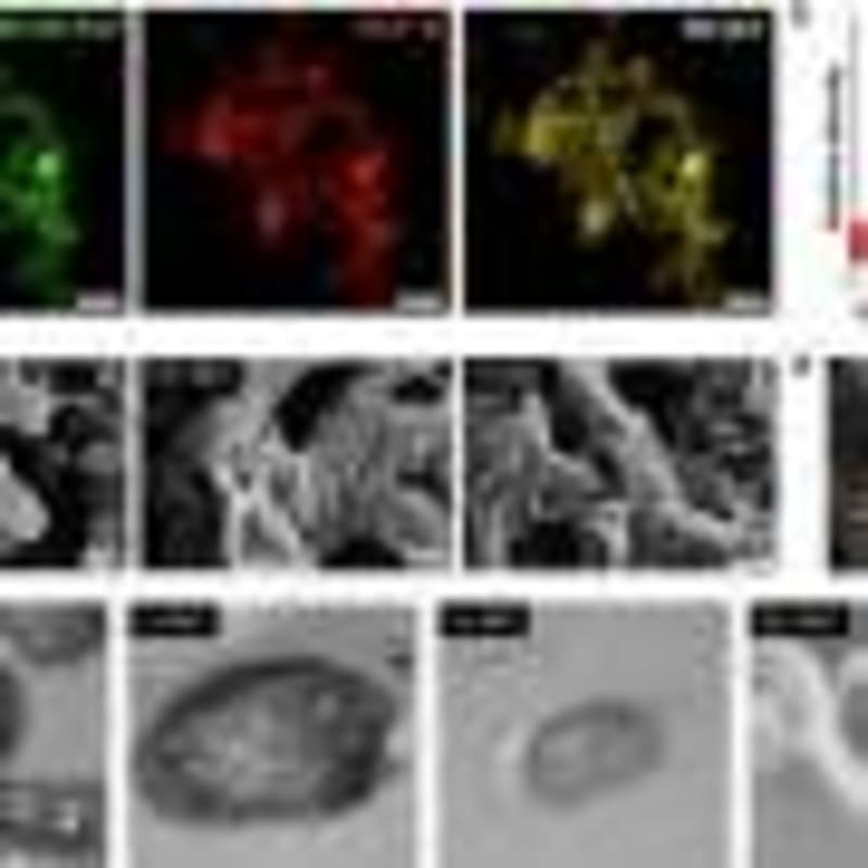 Rivers and Lakes Hold Key to Climate Resilience - Image 4