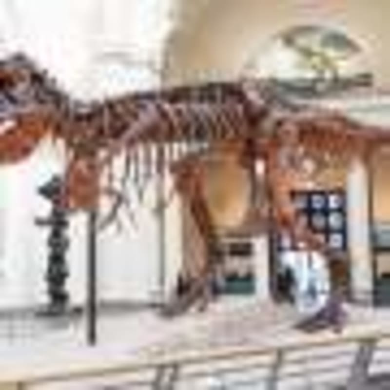 Indigenous Plant Knowledge Gets Scientific Name in Philippines - Image 3