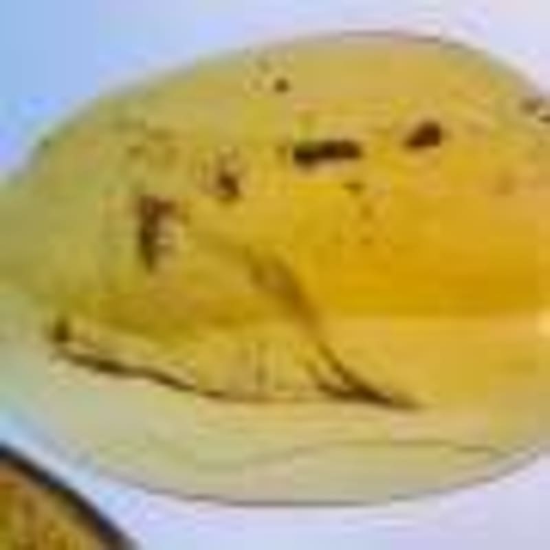 Brazilian Scientists Destroy Water Pollutants with Sparks - Image 3