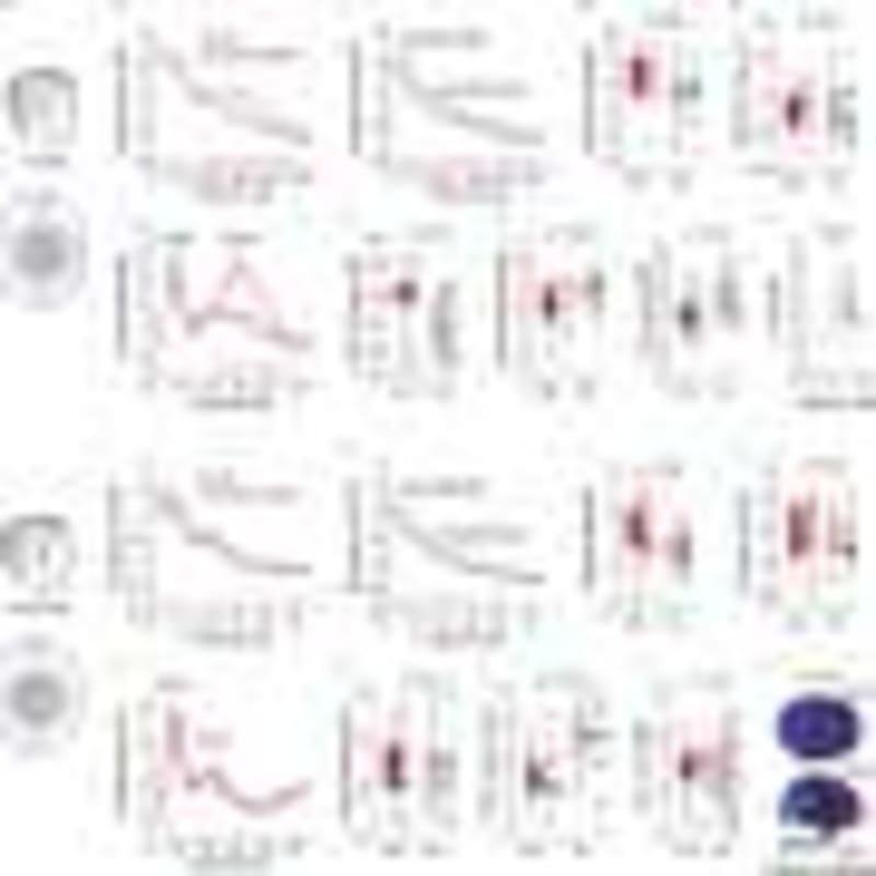 Cancer Drug Reawakens Failed Immunotherapy for 6 Patients - Image 4