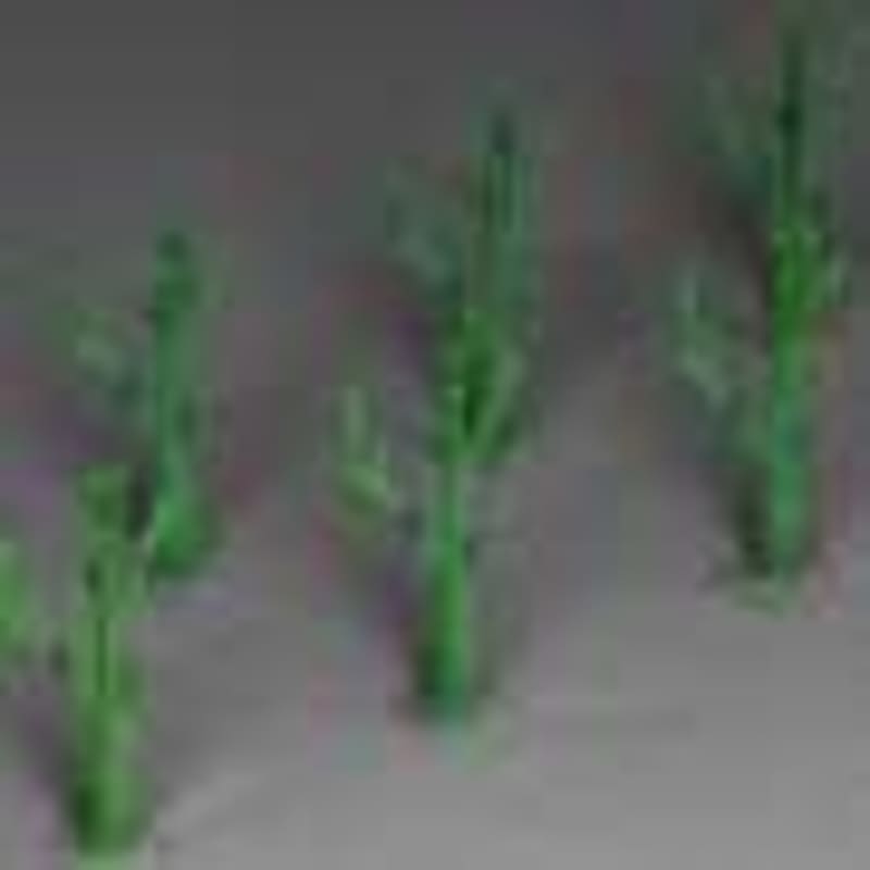 Toronto's COVID Pause Reversed This 'Forever Chemical - Image 5