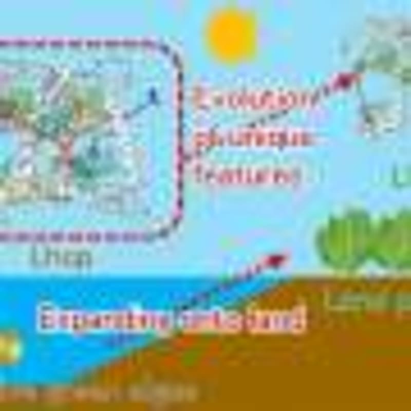 AI Predicts Coral Bleaching 6 Weeks Before It Happens - Image 5