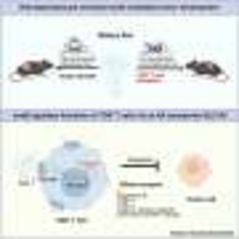 Scientists Map Brain Protein to Help 20+ Memory Diseases - Image 5