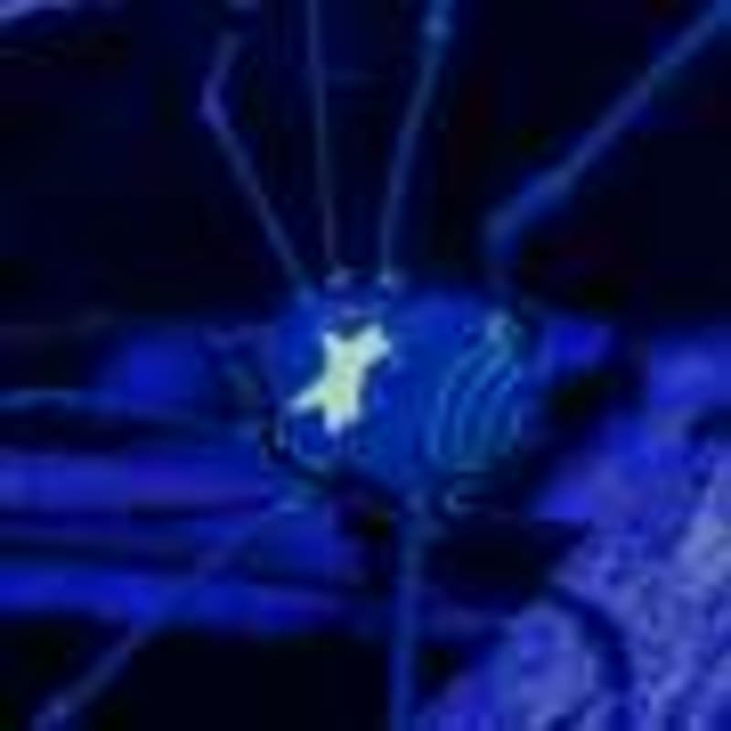 Simple Mineral Cuts Farm Pollution by 42% - Image 3