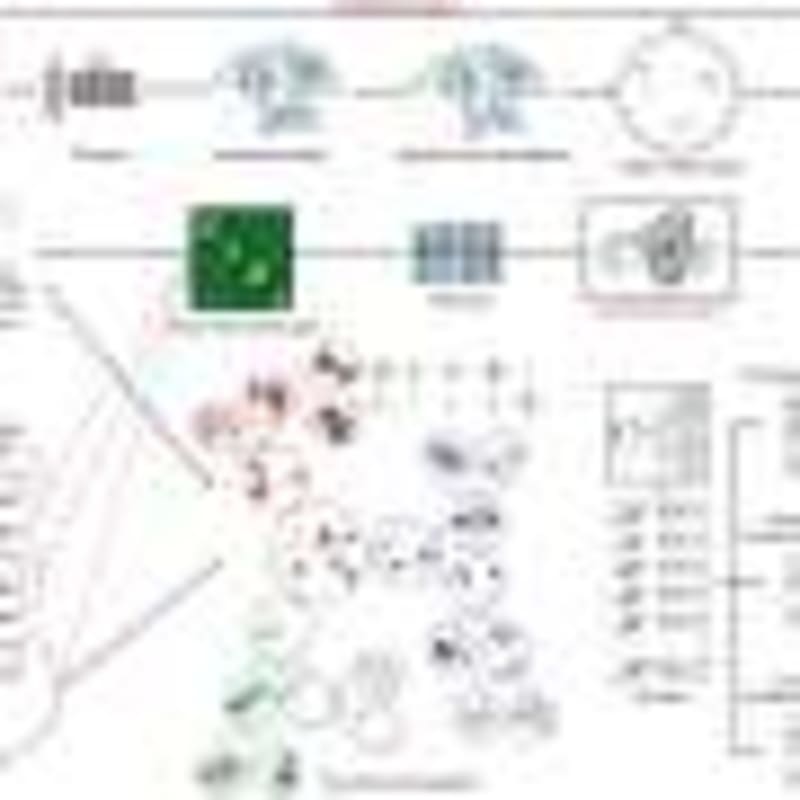 Rice Bug Gene Map Could Save Farmers Millions - Image 5
