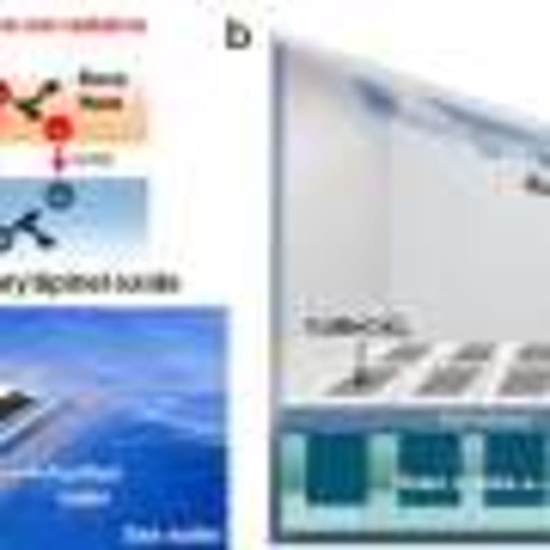 AI Learns to Reason Like Humans Without Extra Training - Image 5