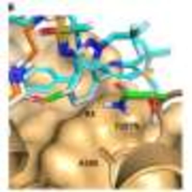 Scientists Explain Why Happy People Walk Faster - Image 4