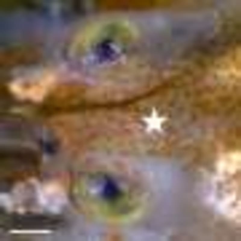 Rivers and Lakes Hold Key to Climate Resilience - Image 5