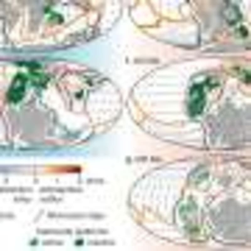 New Tools Help Spot Language Disorder in Bilingual Kids - Image 5