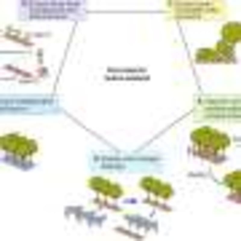 NASA Telescope to Discover 1,000+ New Planets by 2031 - Image 5