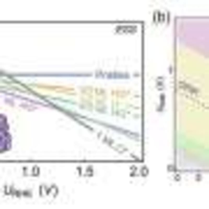 Horse IVF Breakthrough Brings Frozen Sperm Success - Image 3