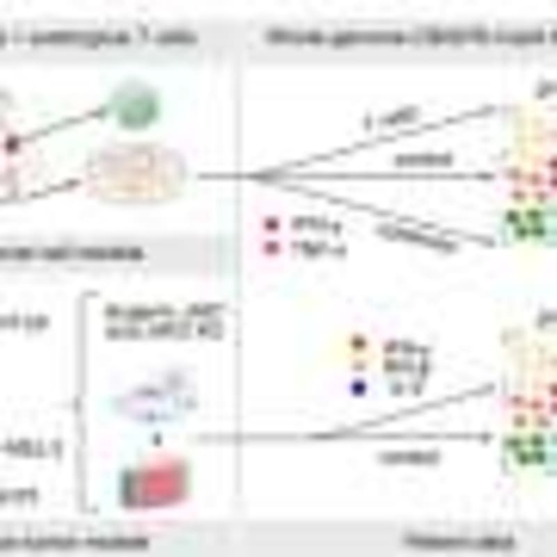 11 Million Births Confirm Fluoride Safe for Pregnancy - Image 5