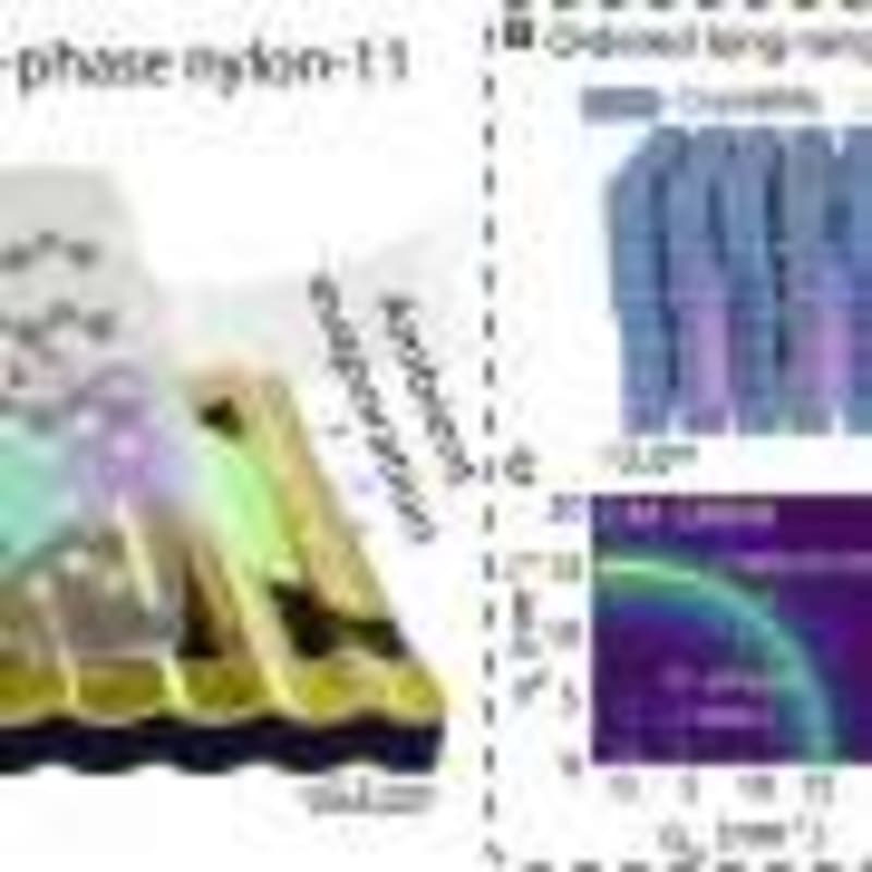 Random Science Experiments Beat Careful Planning, Study Finds - Image 5