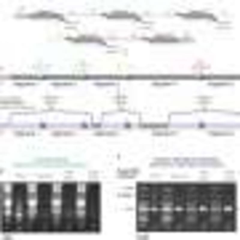 AI Solves 30-Year Physics Computing Problem - Image 4