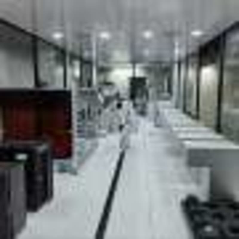 Brainless Jellyfish Sleep Reveals 600 Million Year Secret - Image 5