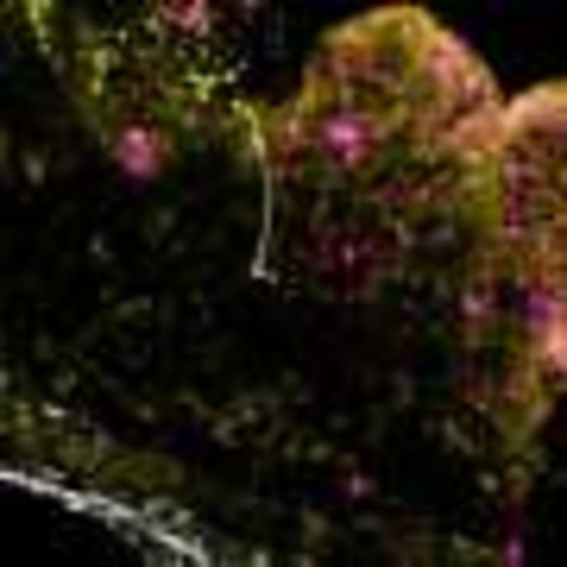 AI Detects Lung Disease in Premature Babies Through Eye Scans - Image 3