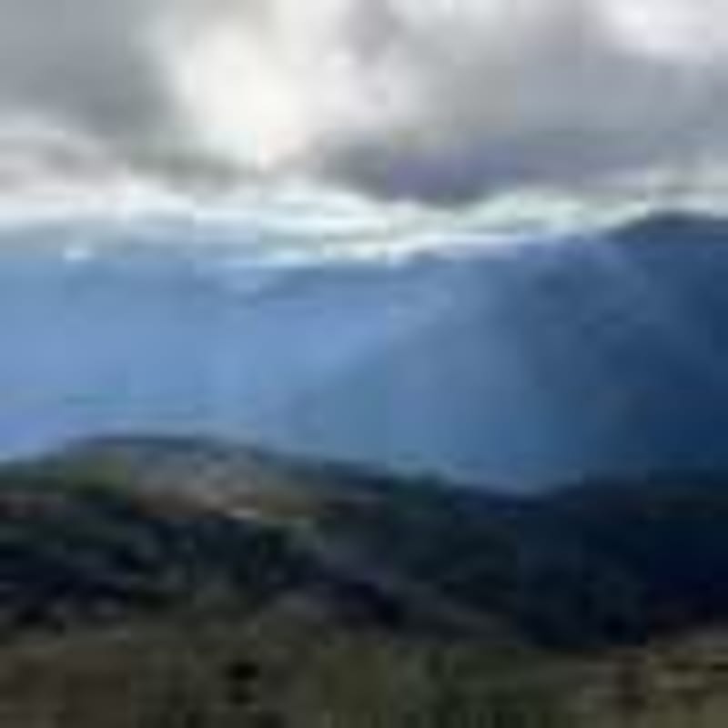 Ancient Cheetah DNA Opens Door for Arabian Rewilding - Image 4