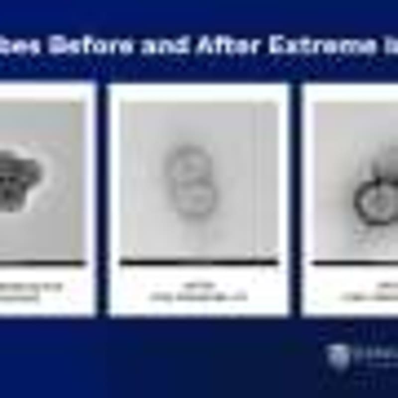 Everglades Carbon Capture Jumped 18% in Recent Study - Image 4