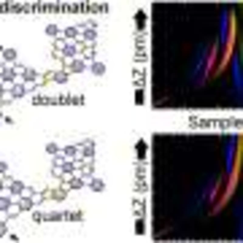 Scientists Reveal How Plants Remember Winter - Image 5