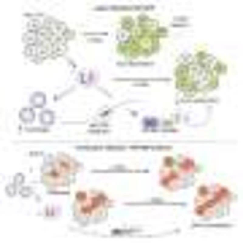 Breathing Exercises May Clear Alzheimer's, Parkinson's Toxins - Image 4