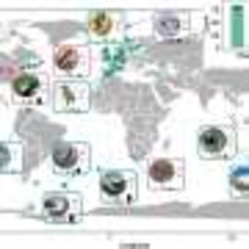 Grassroots Groups Protect 40% of Earth's Priority Lands - Image 4