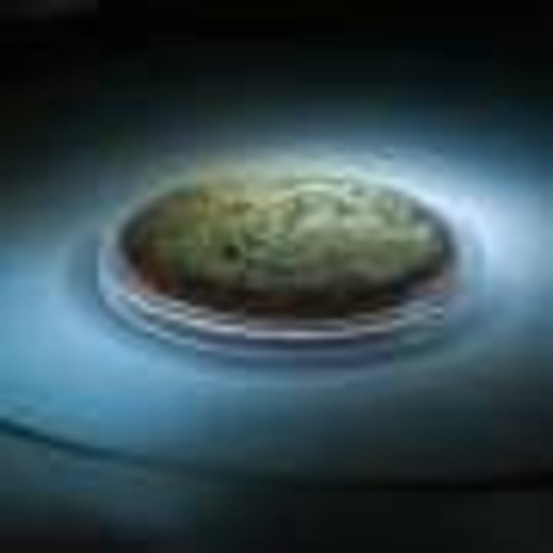 AI Lab Discovers Breakthrough mRNA Delivery Method - Image 3