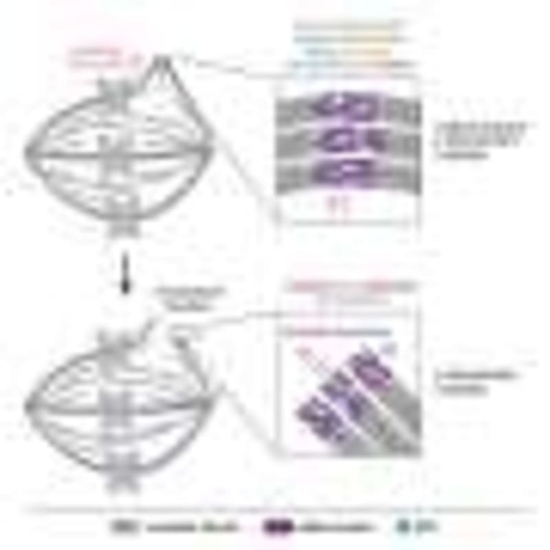 Moon Observations Reveal Earth's Climate 'Fingerprint - Image 5
