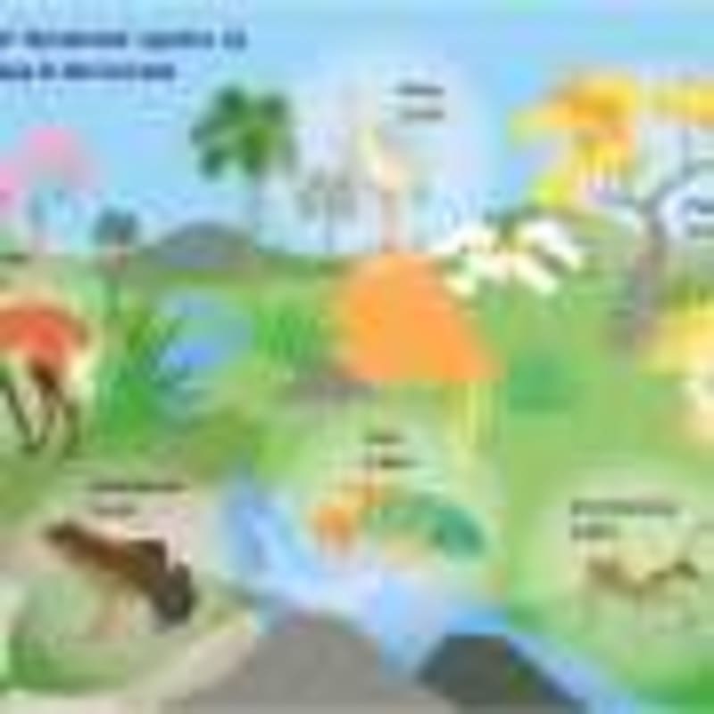 Scientists Create Powerful Magnets Without Rare Metals - Image 5