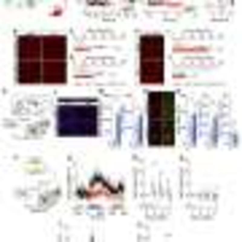 Scientists Crack Code of Chronic Pain Neurons - Image 5