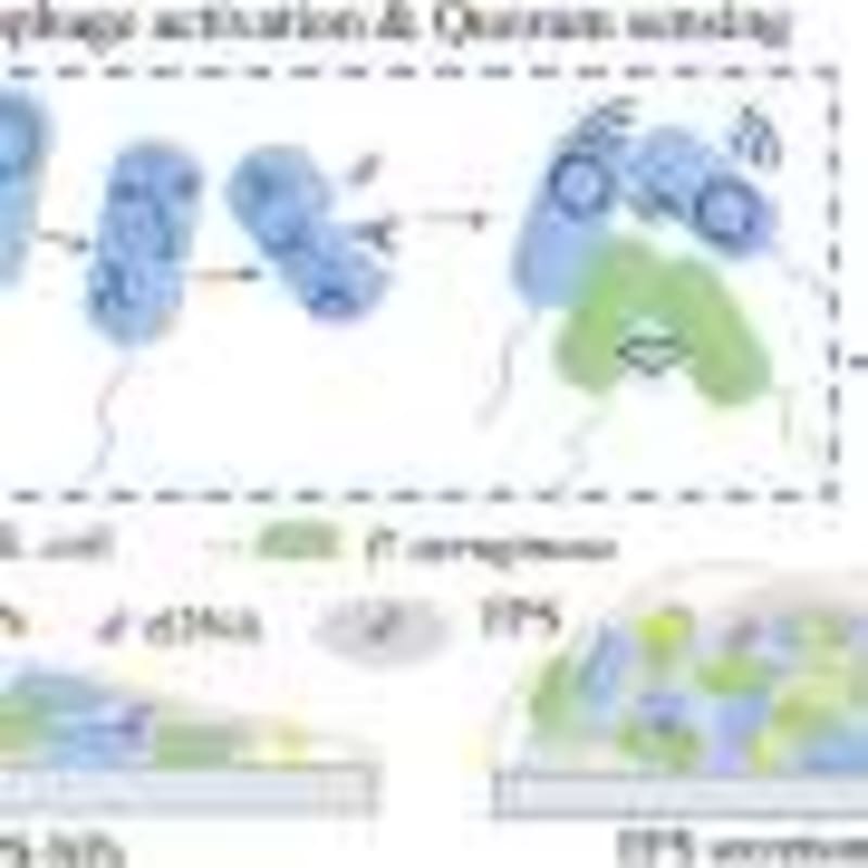 Cities Could Track 70% More Progress With Citizen Scientists - Image 5