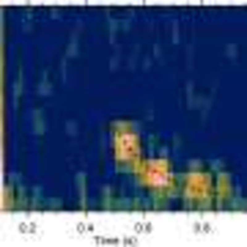 Invasive Sparrows Help Scientists Detect Heavy Metals - Image 4