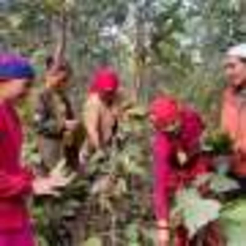 Simple Mineral Cuts Farm Pollution by 42% - Image 5