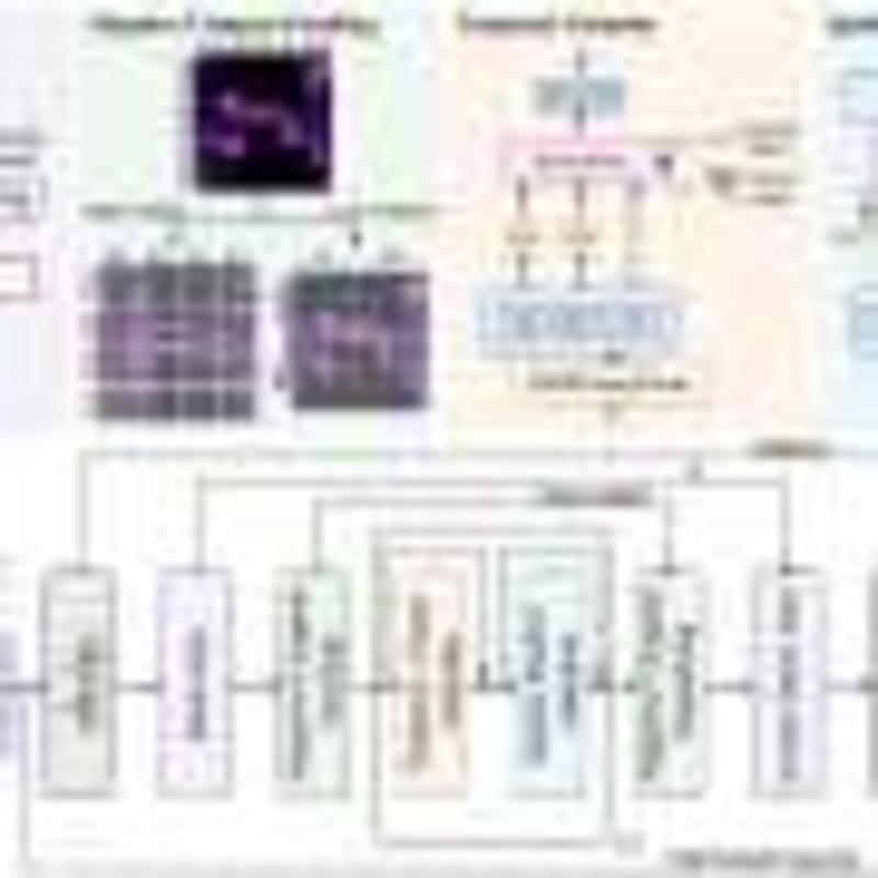 Scientists Create Synthetic Muscle with Tiny Blood Vessels - Image 4