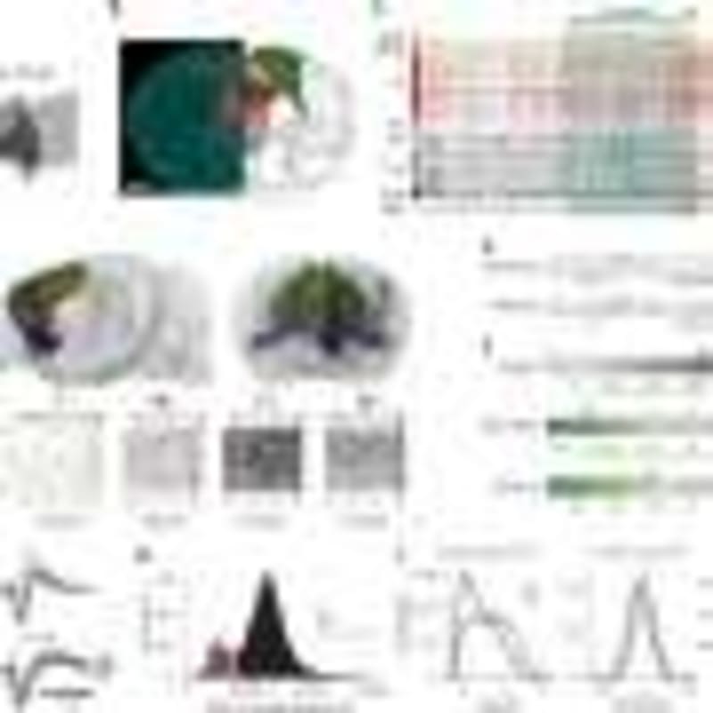 Common Antibiotic Boosts Immune Cells in Surprise Discovery - Image 4
