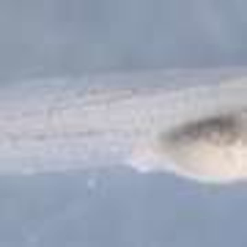 Japan Retrieves Rare Earth Metals from 20,000 Feet Deep - Image 5