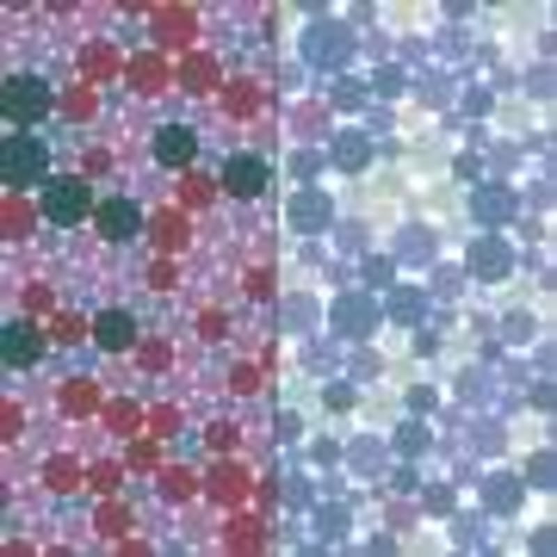 Rice Bug Gene Map Could Save Farmers Millions - Image 3