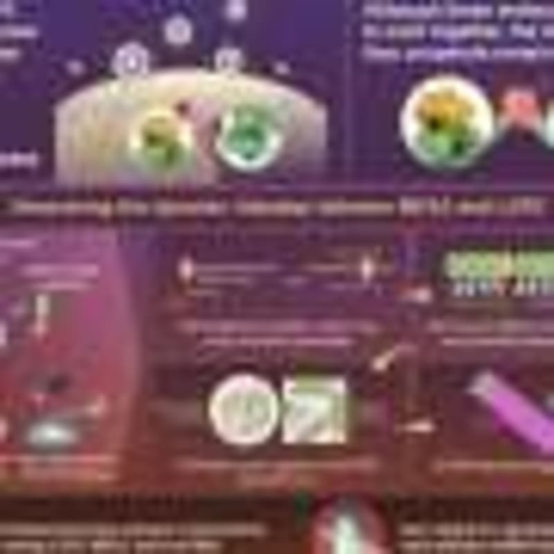 Scientists Discover Why Humans Are Awake During the Day - Image 5