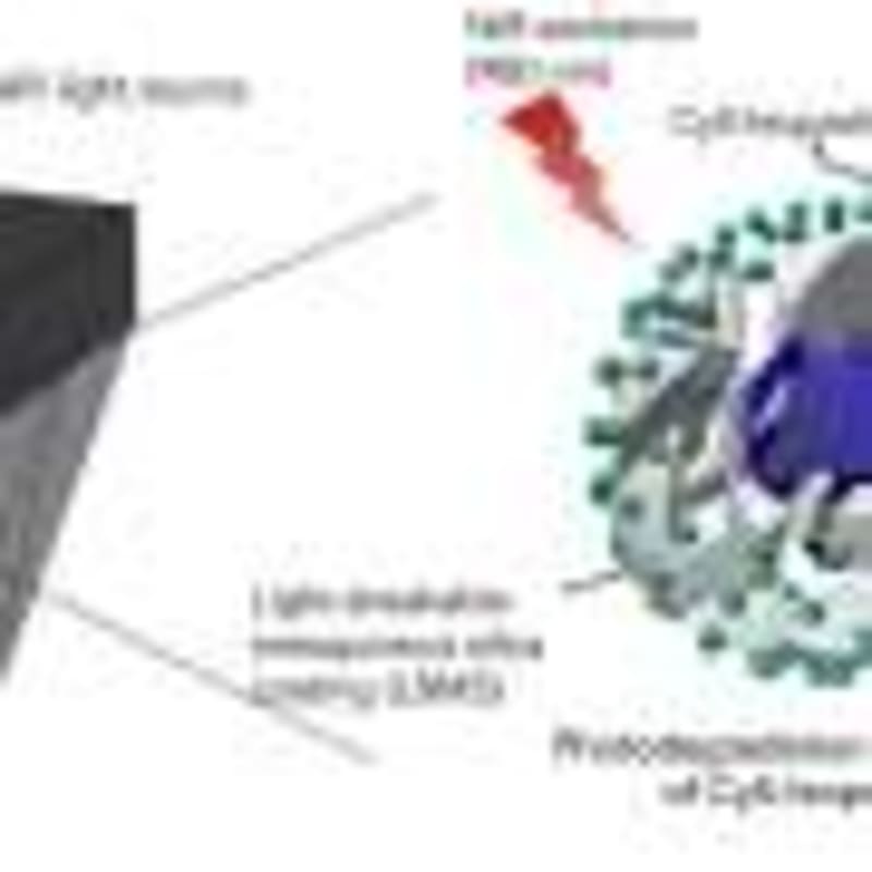 New Screening Breakthrough Offers Hope to Protect Babies from Hearing Loss - Image 5