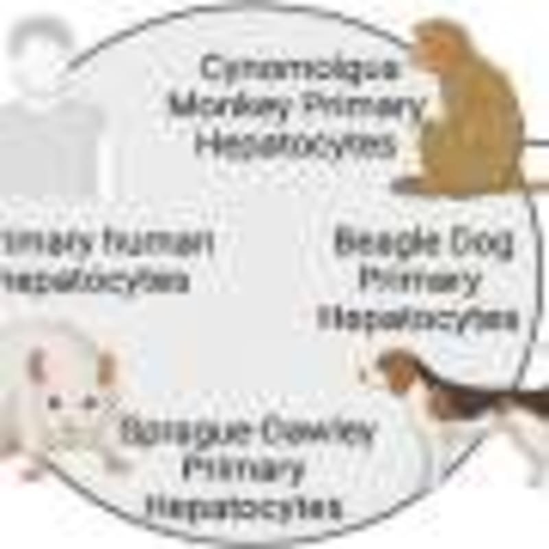 Scientists Trap Cancer in Evolutionary Double-Bind - Image 4