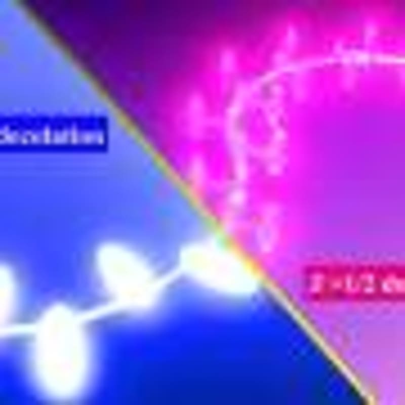 Teacher Happiness Linked to Student Bonds, Study Finds - Image 5