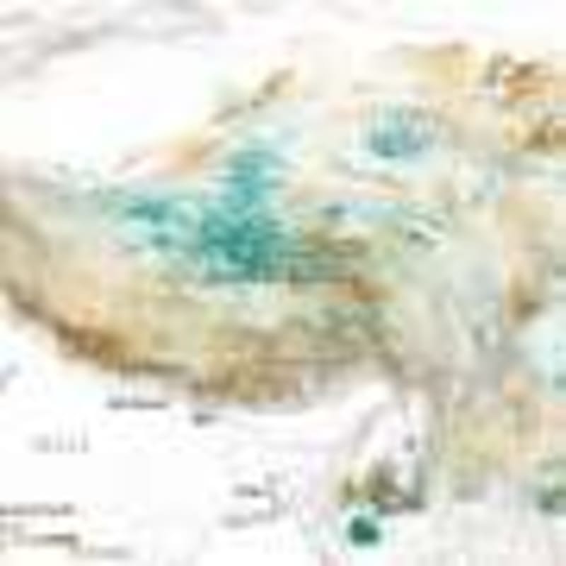 Scientists Rally to Save Corals After 2023 Heat Wave - Image 3