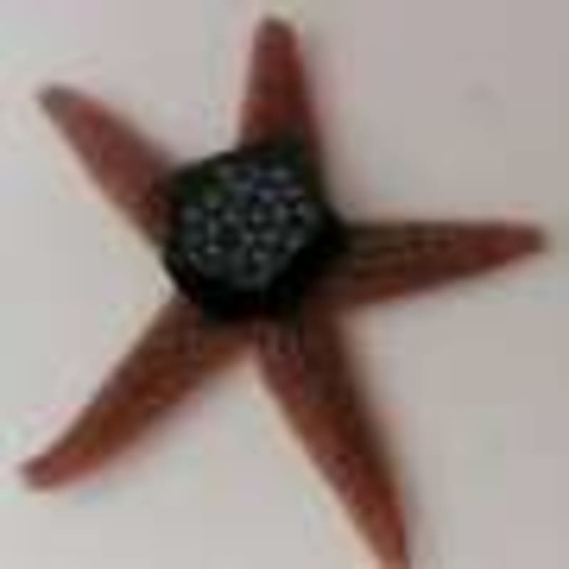 USC Scientists Slash AI Energy Use With Smart New Methods - Image 5