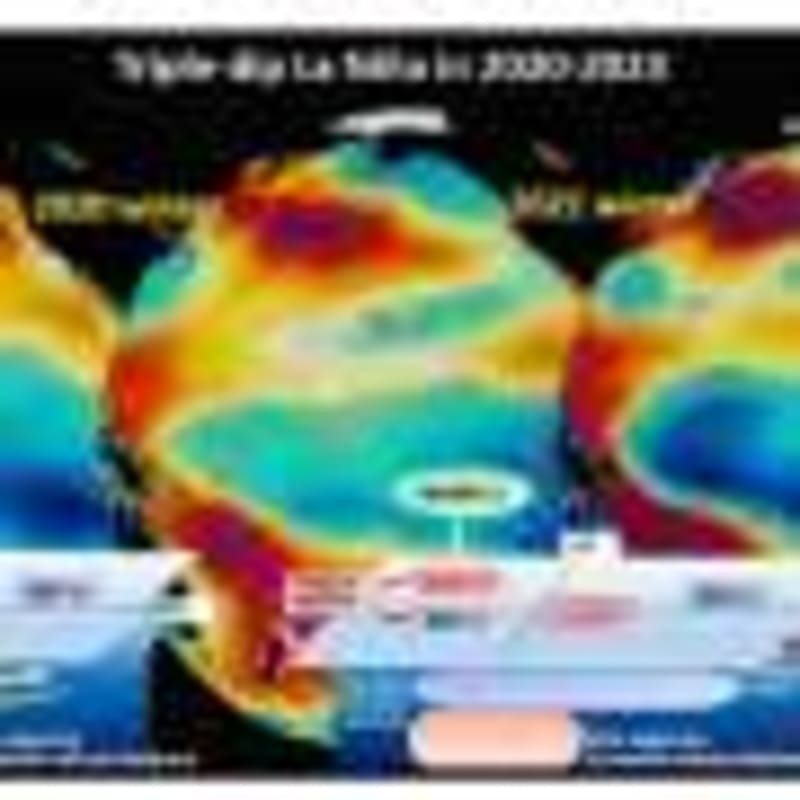 Living Walls Attract 32 Bird Species to Urban Plymouth - Image 5