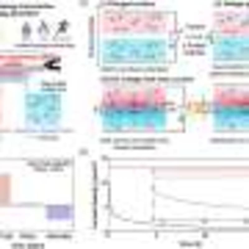 Swedish Researchers Extend Concrete Lifespan by 100 Years - Image 4