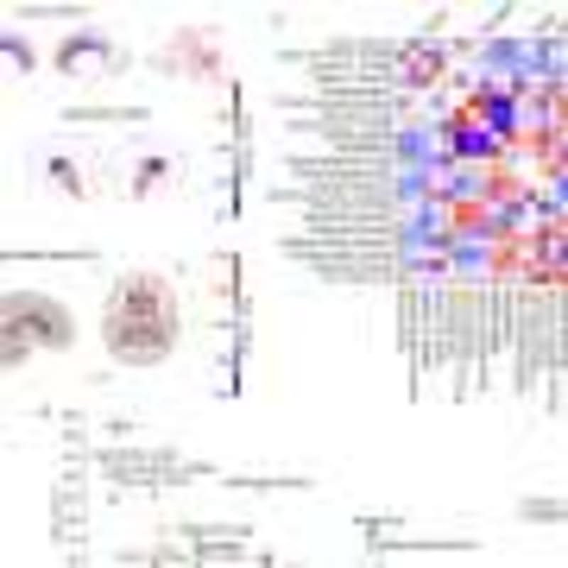 Parents Want Sex Ed Help: 5 Tips From New Study - Image 4